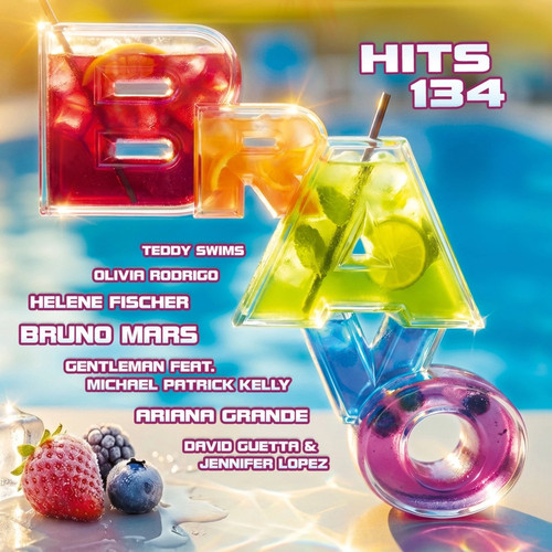 Bravo hits vol 134 - hits, vol.