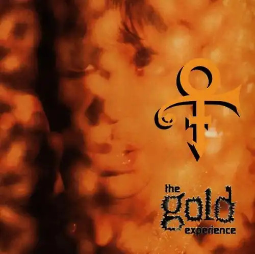 Symbol the gold experience - symbol,